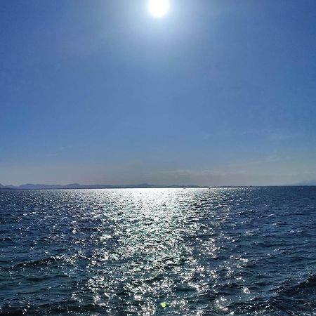 Apartamento Cerca De La Playa La Mata لا ماتا الغرفة الصورة